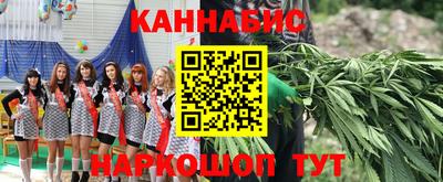 прущие крисы Изобильный