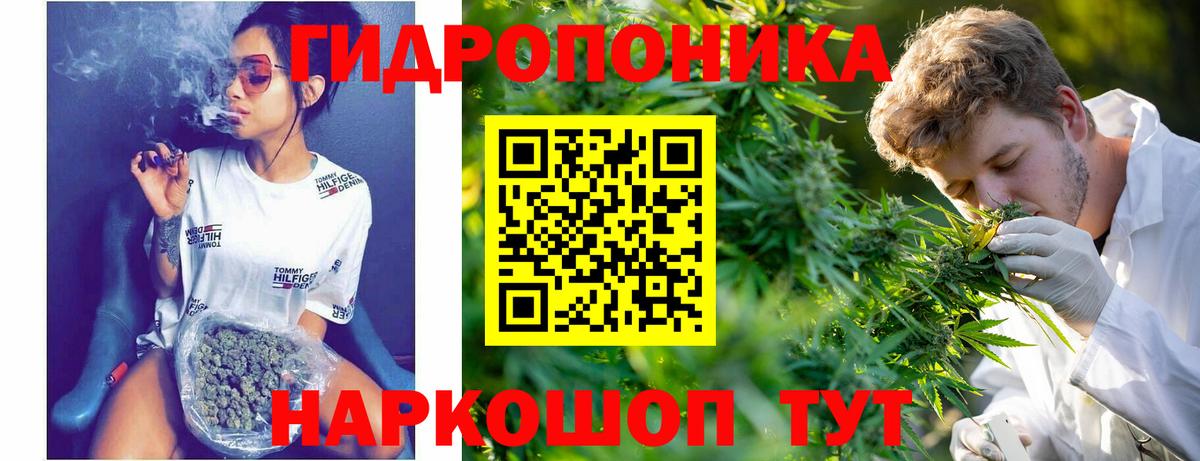 Шишки марихуана Amnesia Лабытнанги